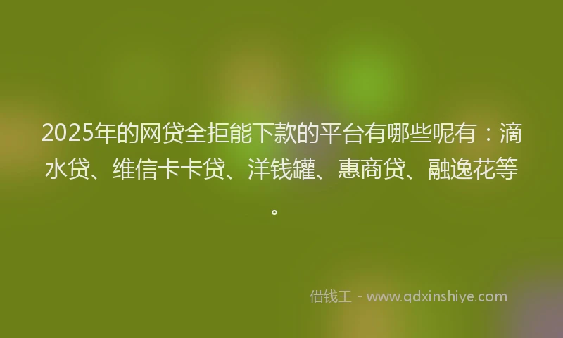 2025年的网贷全拒能下款的平台有哪些呢有：滴水贷、维信卡卡贷、洋钱罐、惠商贷、融逸花等。