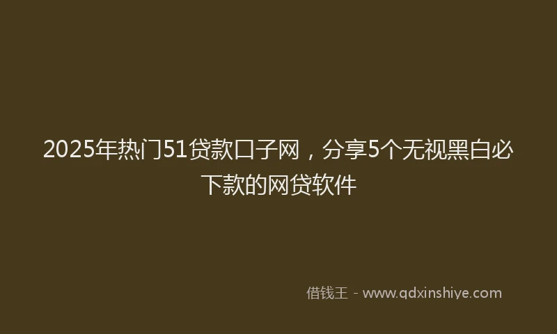 2025年热门51贷款口子网，分享5个无视黑白必下款的网贷软件