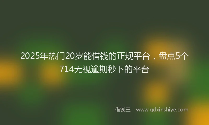 2025年热门20岁能借钱的正规平台，盘点5个714无视逾期秒下的平台