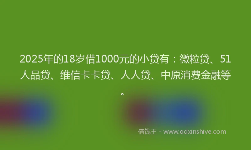 2025年的18岁借1000元的小贷有：微粒贷、51人品贷、维信卡卡贷、人人贷、中原消费金融等。