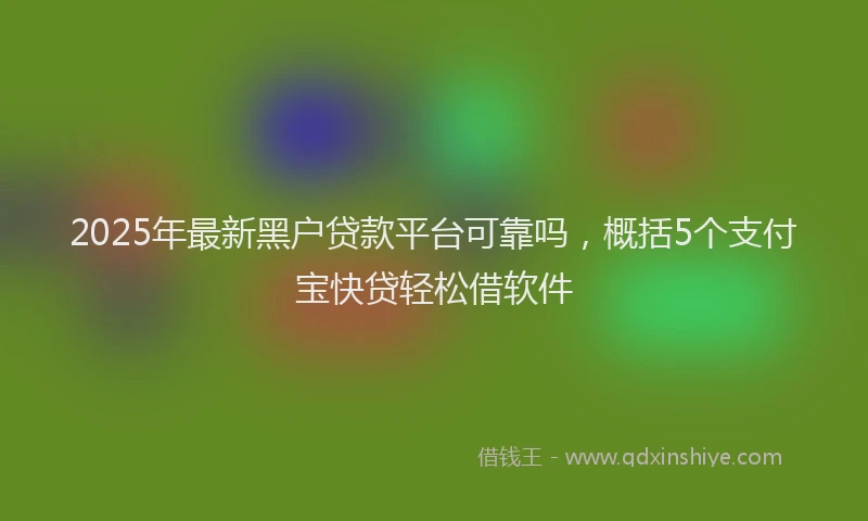 2025年最新黑户贷款平台可靠吗，概括5个支付宝快贷轻松借软件
