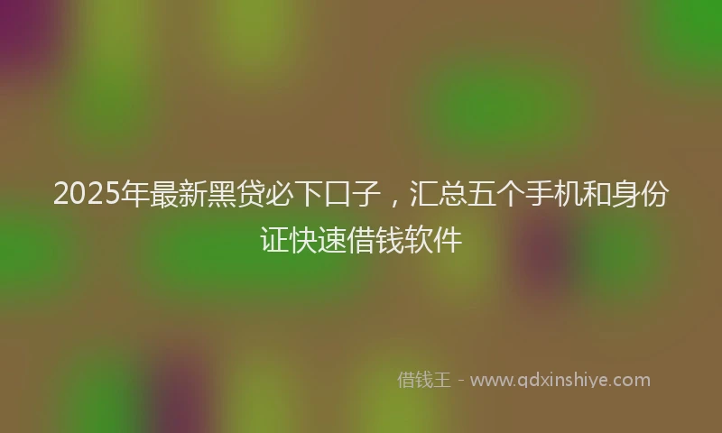 2025年最新黑贷必下口子，汇总五个手机和身份证快速借钱软件