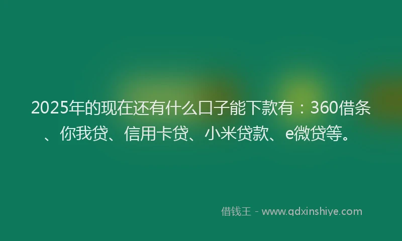 2025年的现在还有什么口子能下款有：360借条、你我贷、信用卡贷、小米贷款、e微贷等。