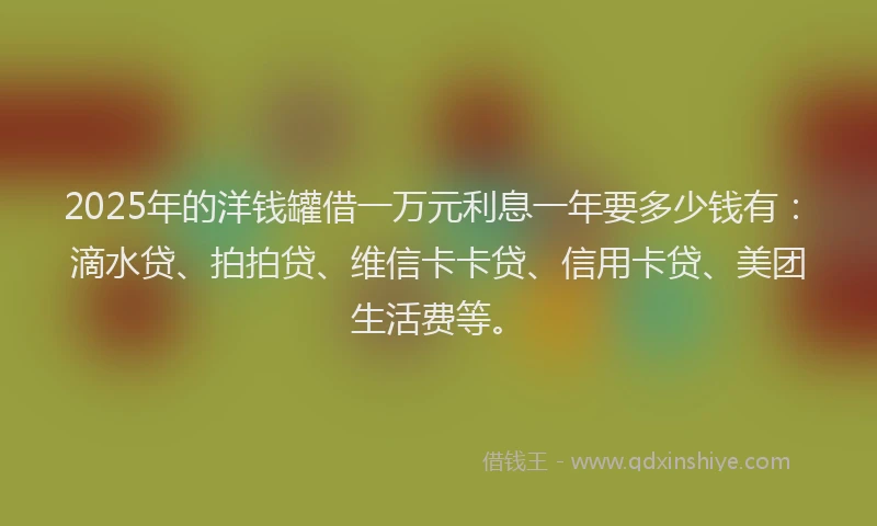 2025年的洋钱罐借一万元利息一年要多少钱有：滴水贷、拍拍贷、维信卡卡贷、信用卡贷、美团生活费等。