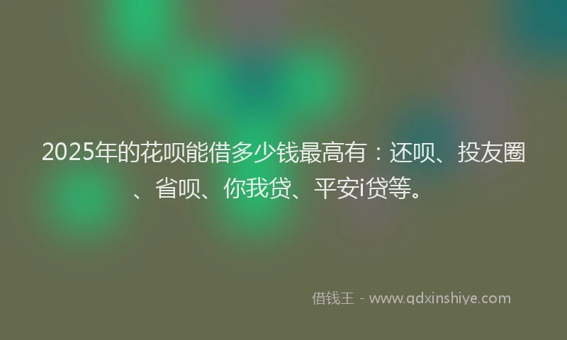 2025年的花呗能借多少钱最高有：还呗、投友圈、省呗、你我贷、平安i贷等。