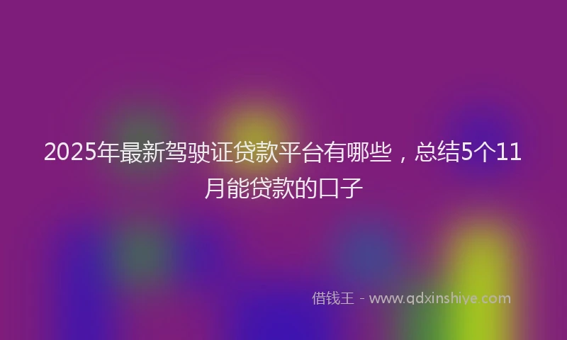 2025年最新驾驶证贷款平台有哪些，总结5个11月能贷款的口子