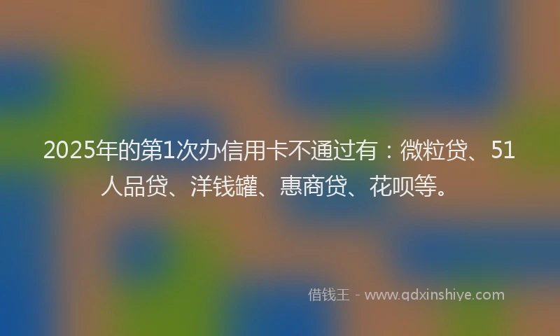 2025年的第1次办信用卡不通过有：微粒贷、51人品贷、洋钱罐、惠商贷、花呗等。