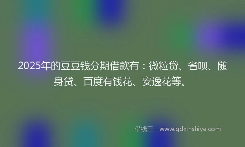 2025年的豆豆钱分期借款有：微粒贷、省呗、随身贷、百度有钱花、安逸花等。