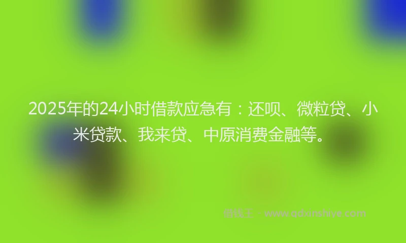 2025年的24小时借款应急有：还呗、微粒贷、小米贷款、我来贷、中原消费金融等。