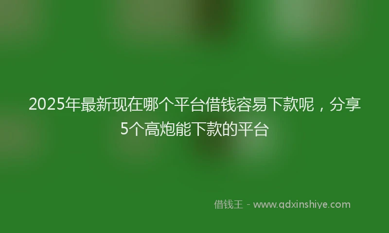 2025年最新现在哪个平台借钱容易下款呢，分享5个高炮能下款的平台