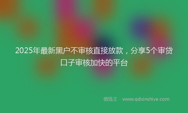 2025年最新黑户不审核直接放款，分享5个审贷口子审核加快的平台