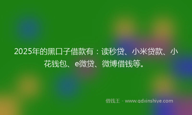 2025年的黑口子借款有：读秒贷、小米贷款、小花钱包、e微贷、微博借钱等。