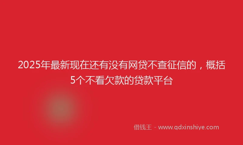 2025年最新现在还有没有网贷不查征信的，概括5个不看欠款的贷款平台