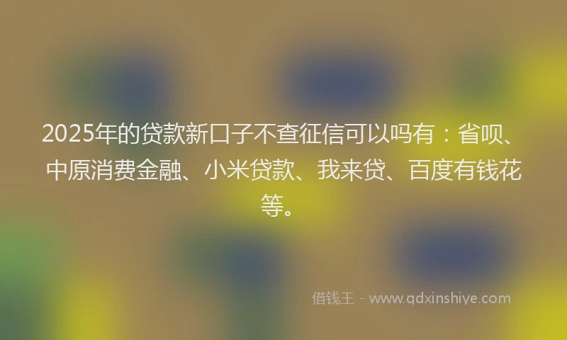 2025年的贷款新口子不查征信可以吗有：省呗、中原消费金融、小米贷款、我来贷、百度有钱花等。