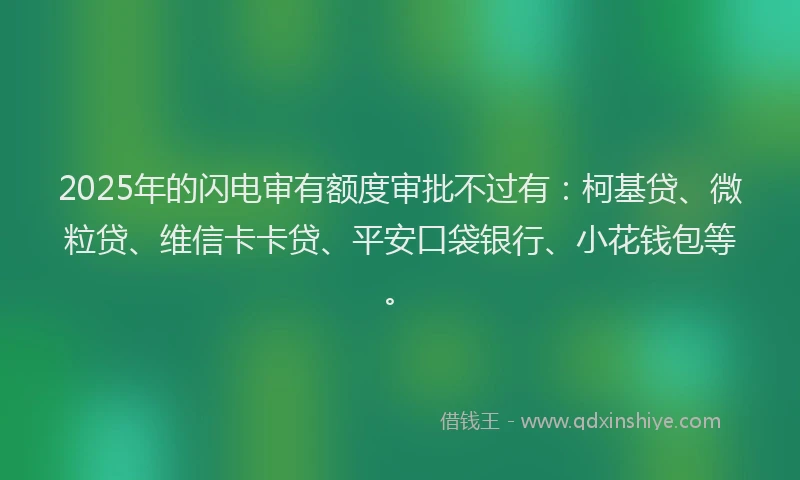 2025年的闪电审有额度审批不过有：柯基贷、微粒贷、维信卡卡贷、平安口袋银行、小花钱包等。