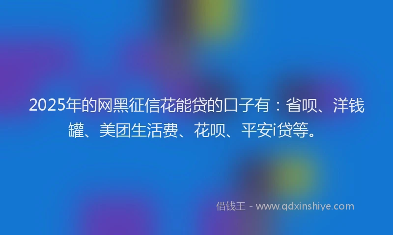 2025年的网黑征信花能贷的口子有：省呗、洋钱罐、美团生活费、花呗、平安i贷等。