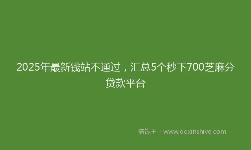 2025年最新钱站不通过，汇总5个秒下700芝麻分贷款平台