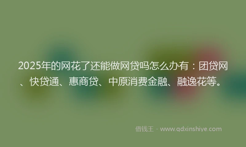 2025年的网花了还能做网贷吗怎么办有：团贷网、快贷通、惠商贷、中原消费金融、融逸花等。