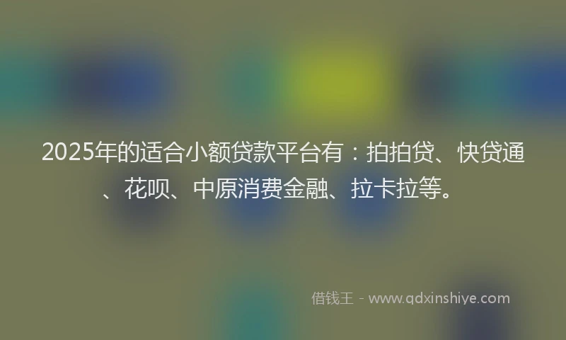 2025年的适合小额贷款平台有：拍拍贷、快贷通、花呗、中原消费金融、拉卡拉等。
