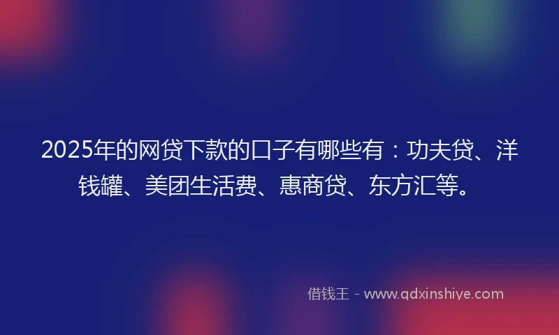 2025年的网贷下款的口子有哪些有：功夫贷、洋钱罐、美团生活费、惠商贷、东方汇等。