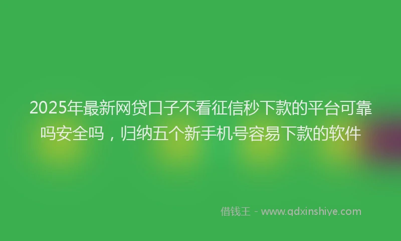 2025年最新网贷口子不看征信秒下款的平台可靠吗安全吗，归纳五个新手机号容易下款的软件