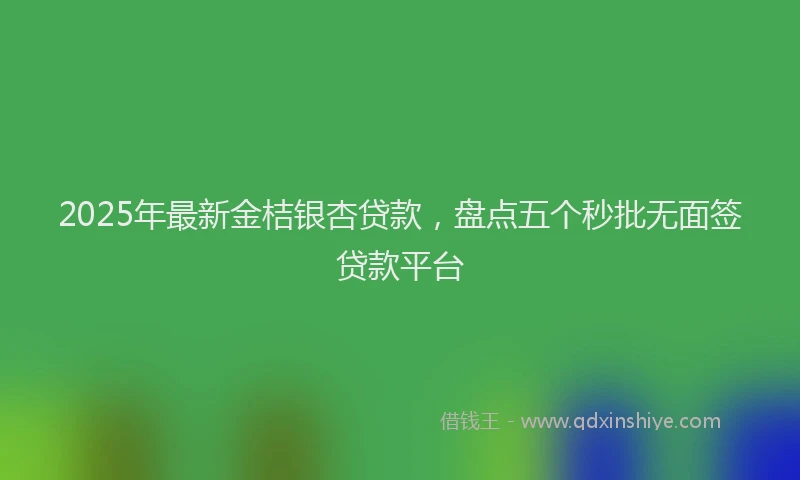 2025年最新金桔银杏贷款，盘点五个秒批无面签贷款平台
