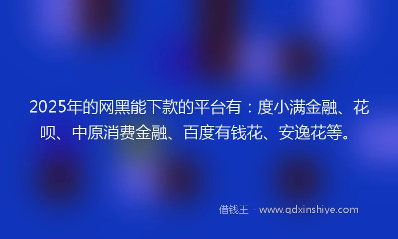 2025年的网黑能下款的平台有：度小满金融、花呗、中原消费金融、百度有钱花、安逸花等。