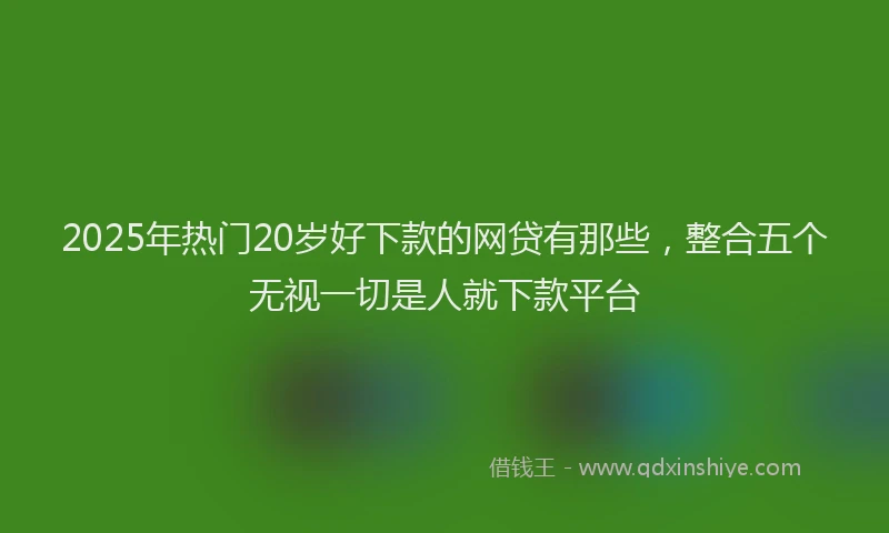 2025年热门20岁好下款的网贷有那些，整合五个无视一切是人就下款平台