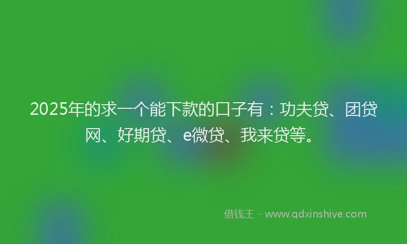 2025年的求一个能下款的口子有：功夫贷、团贷网、好期贷、e微贷、我来贷等。