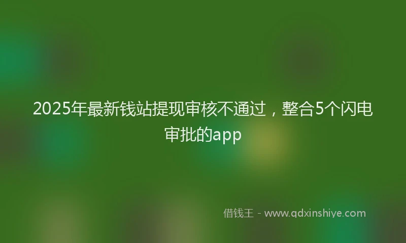 2025年最新钱站提现审核不通过，整合5个闪电审批的app