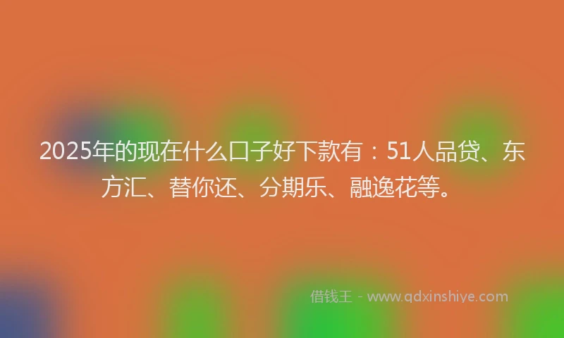 2025年的现在什么口子好下款有：51人品贷、东方汇、替你还、分期乐、融逸花等。