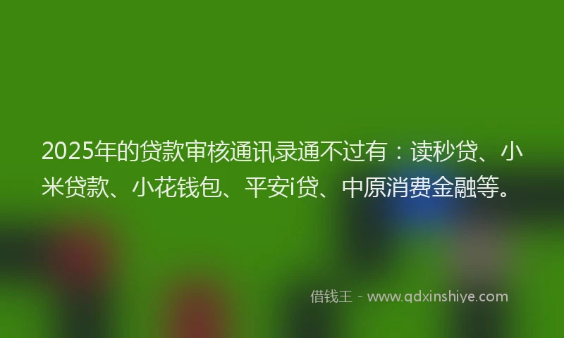 2025年的贷款审核通讯录通不过有：读秒贷、小米贷款、小花钱包、平安i贷、中原消费金融等。