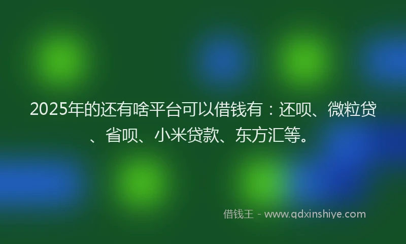 2025年的还有啥平台可以借钱有：还呗、微粒贷、省呗、小米贷款、东方汇等。