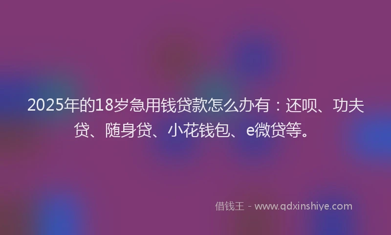 2025年的18岁急用钱贷款怎么办有：还呗、功夫贷、随身贷、小花钱包、e微贷等。