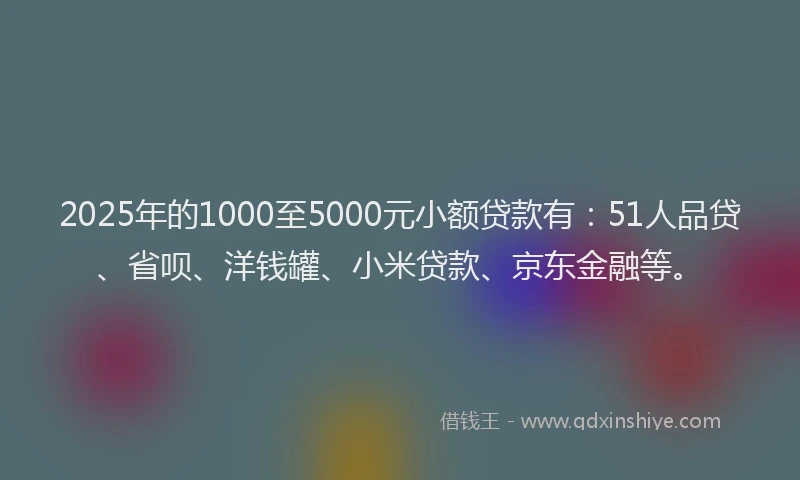 2025年的1000至5000元小额贷款有：51人品贷、省呗、洋钱罐、小米贷款、京东金融等。
