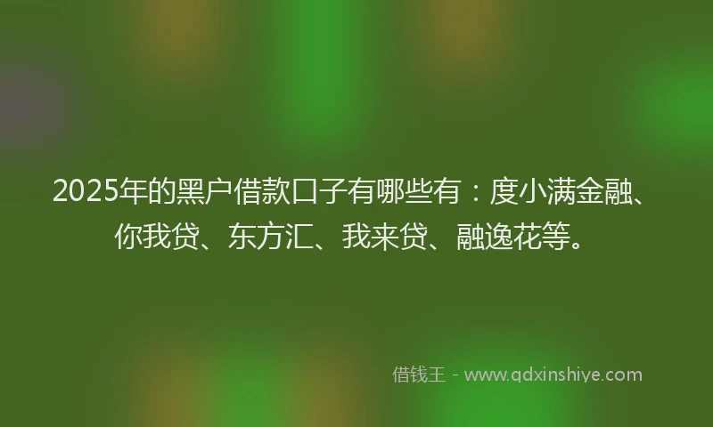 2025年的黑户借款口子有哪些有：度小满金融、你我贷、东方汇、我来贷、融逸花等。