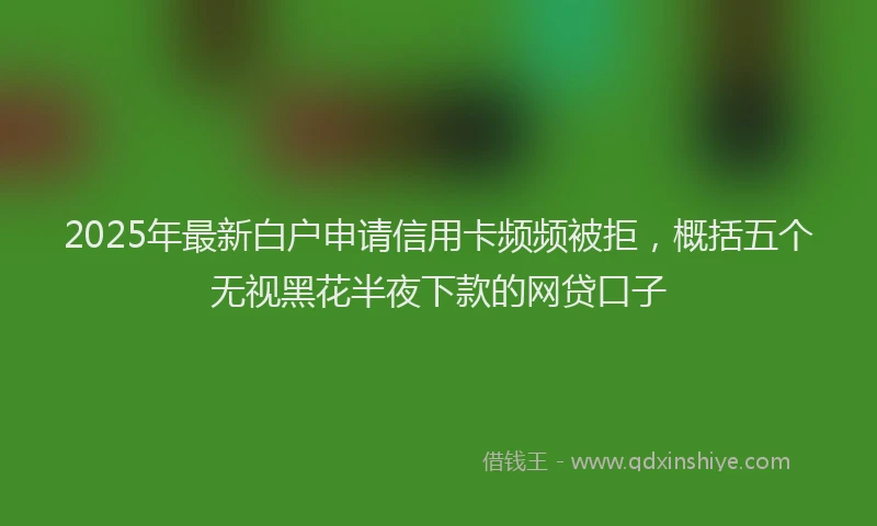 2025年最新白户申请信用卡频频被拒，概括五个无视黑花半夜下款的网贷口子