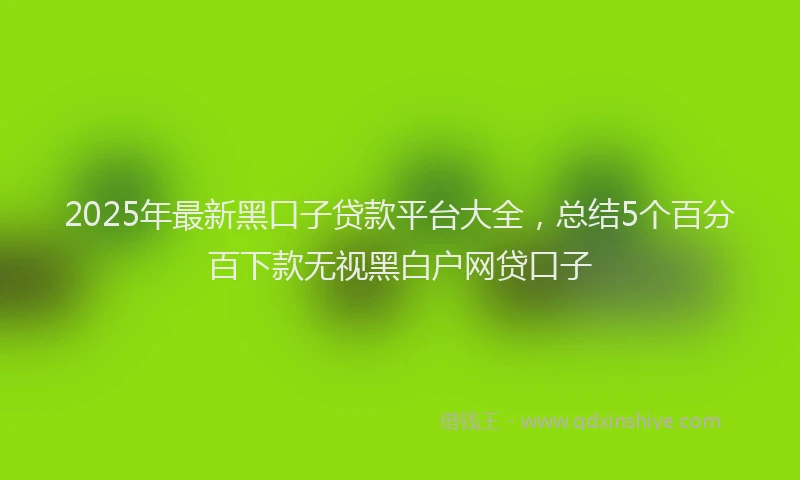 2025年最新黑口子贷款平台大全，总结5个百分百下款无视黑白户网贷口子