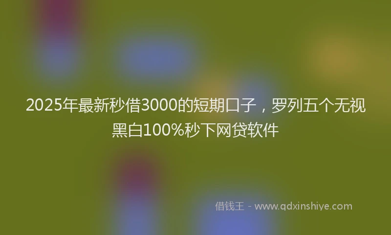 2025年最新秒借3000的短期口子，罗列五个无视黑白100%秒下网贷软件