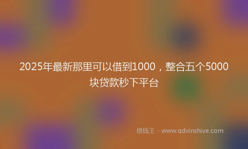 2025年最新那里可以借到1000，整合五个5000块贷款秒下平台