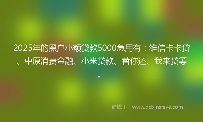 2025年的黑户小额贷款5000急用有：维信卡卡贷、中原消费金融、小米贷款、替你还、我来贷等。