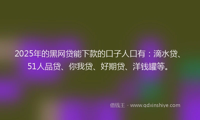 2025年的黑网贷能下款的口子人口有：滴水贷、51人品贷、你我贷、好期贷、洋钱罐等。