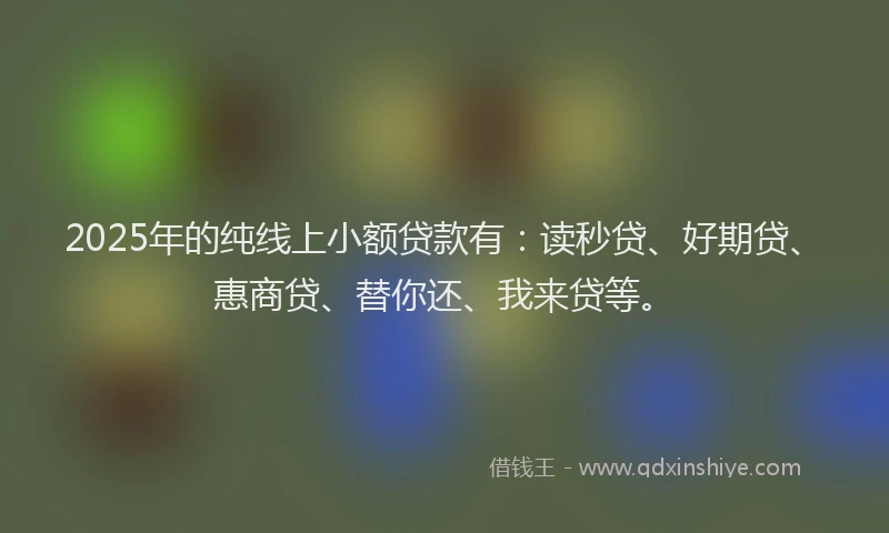 2025年的纯线上小额贷款有：读秒贷、好期贷、惠商贷、替你还、我来贷等。