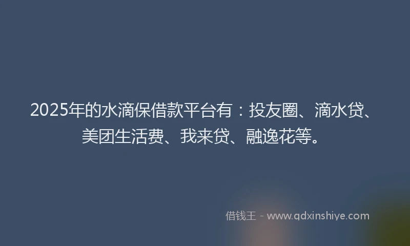 2025年的水滴保借款平台有：投友圈、滴水贷、美团生活费、我来贷、融逸花等。