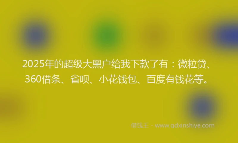 2025年的超级大黑户给我下款了有：微粒贷、360借条、省呗、小花钱包、百度有钱花等。