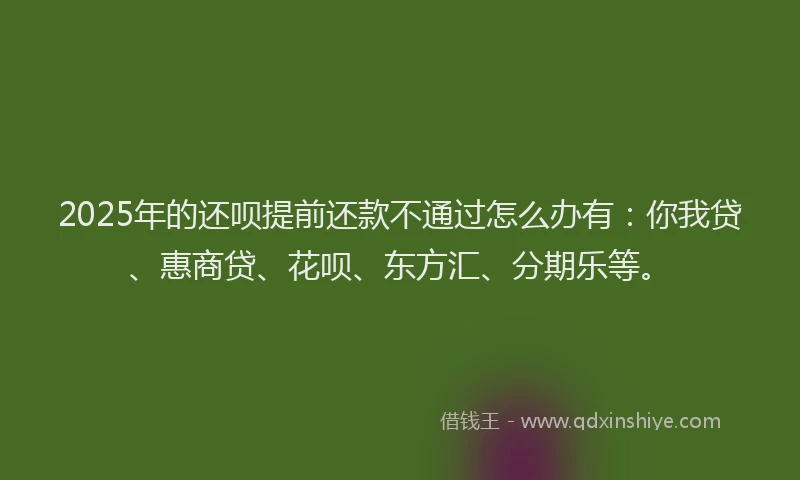 2025年的还呗提前还款不通过怎么办有：你我贷、惠商贷、花呗、东方汇、分期乐等。