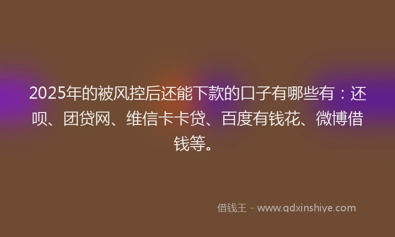 2025年的被风控后还能下款的口子有哪些有：还呗、团贷网、维信卡卡贷、百度有钱花、微博借钱等。
