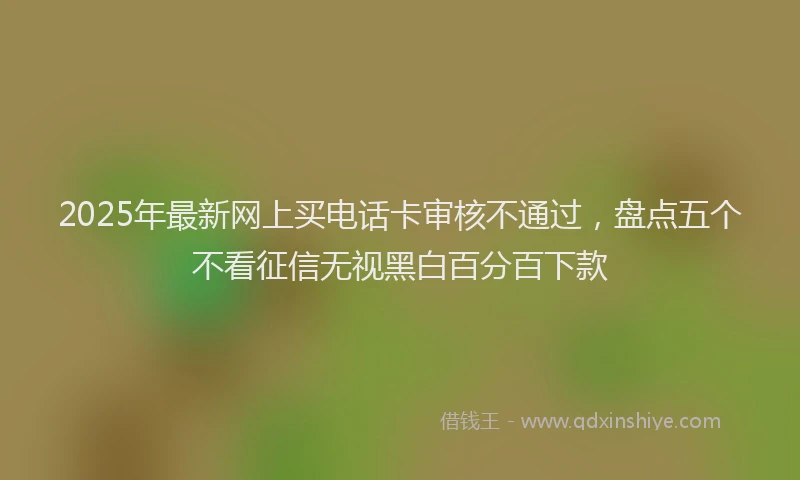 2025年最新网上买电话卡审核不通过，盘点五个不看征信无视黑白百分百下款