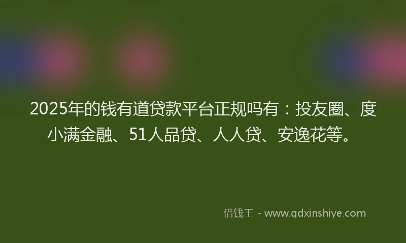2025年的钱有道贷款平台正规吗有：投友圈、度小满金融、51人品贷、人人贷、安逸花等。