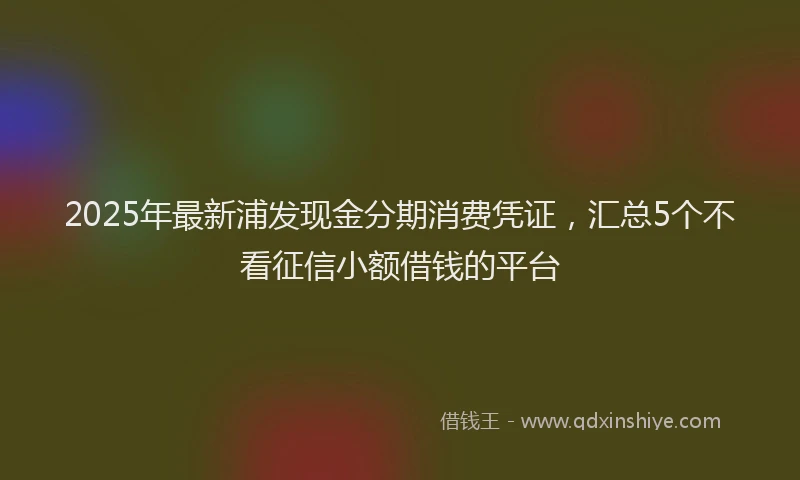 2025年最新浦发现金分期消费凭证，汇总5个不看征信小额借钱的平台